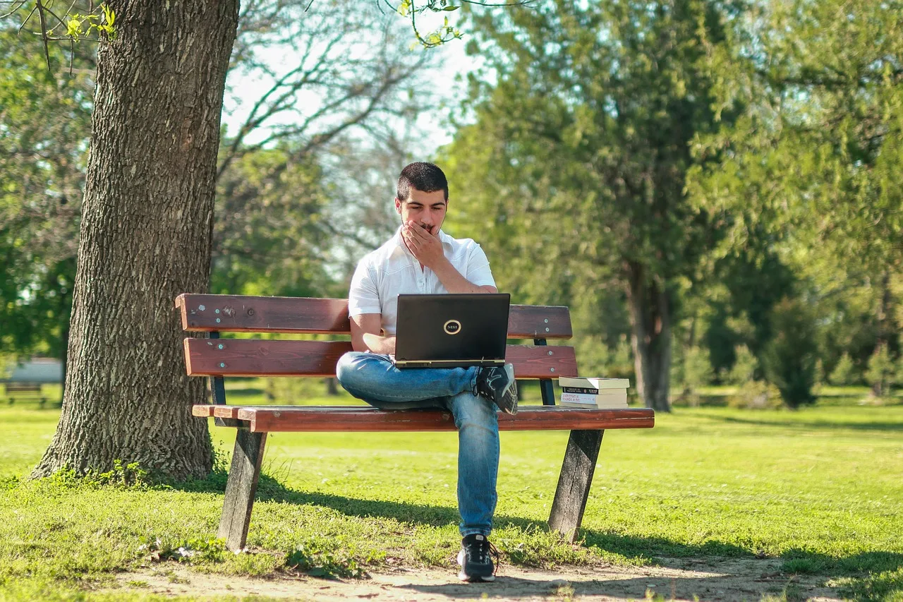 park, man, portrait, computer, laptop, history, person, students, meadow, the sun, spring, summer, rest, books, reading, landscape, nature